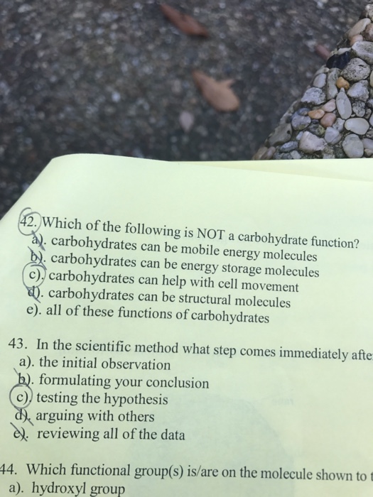 Solved Which of the following is NOT a carbohydrate