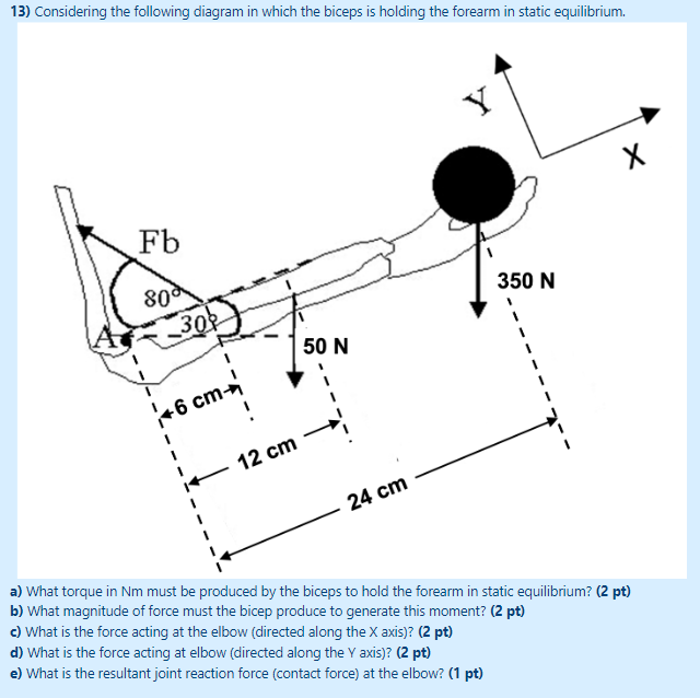 Solved a) What torque in Nm must be produced by the biceps | Chegg.com