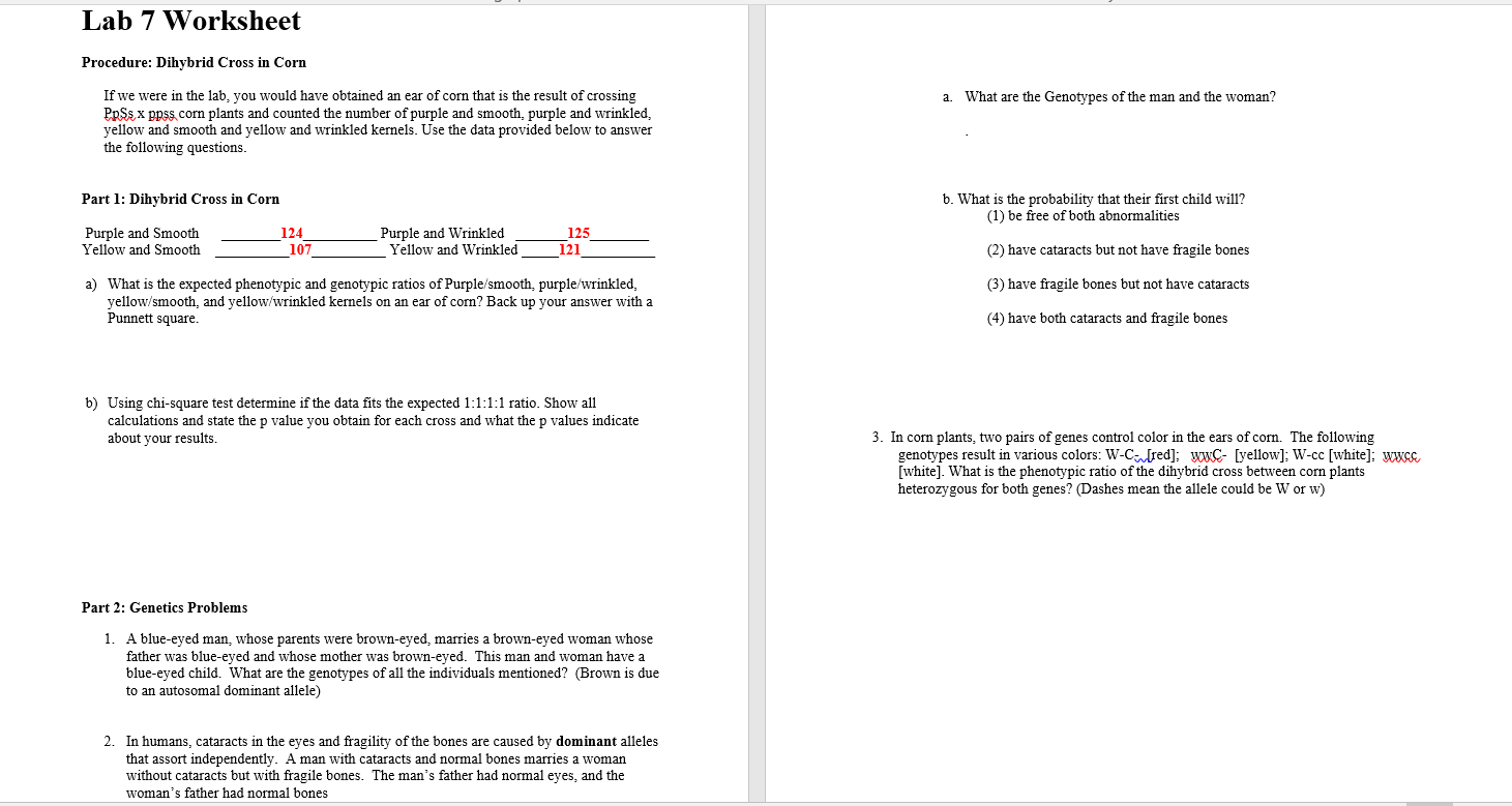 Genetics Worksheets and Printables, image size:1461x779