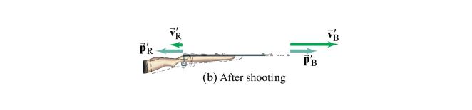 Solved (b) After shootingA 6.01 kg rifle fires a 0.0401 kg | Chegg.com