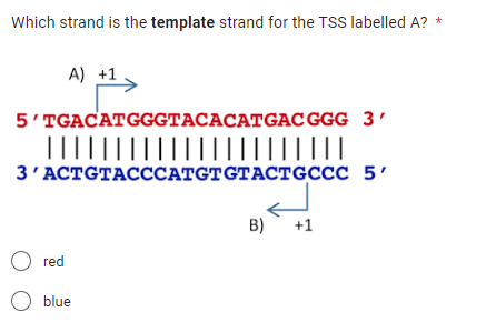 Solved Which strand is the template strand for the TSS | Chegg.com