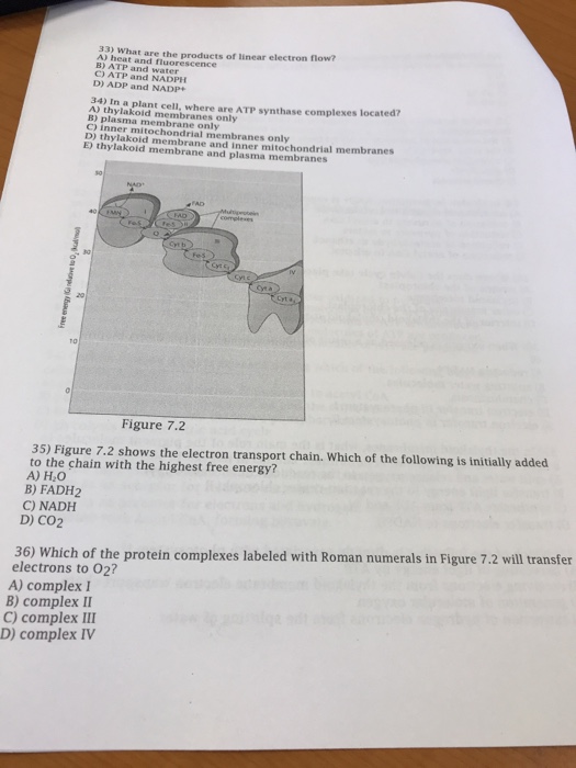 Solved 33) what are the products of linear electron flow? A)