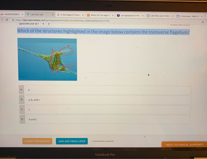 Solved Lab-SU2019(30290) x O Late Nite Labs G in the image | Chegg.com