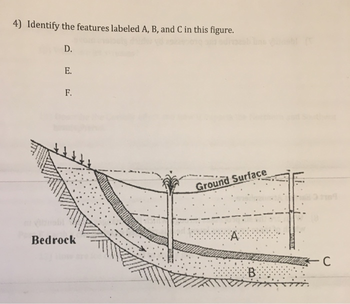 Solved Identify the features labeled A, B and C in this | Chegg.com