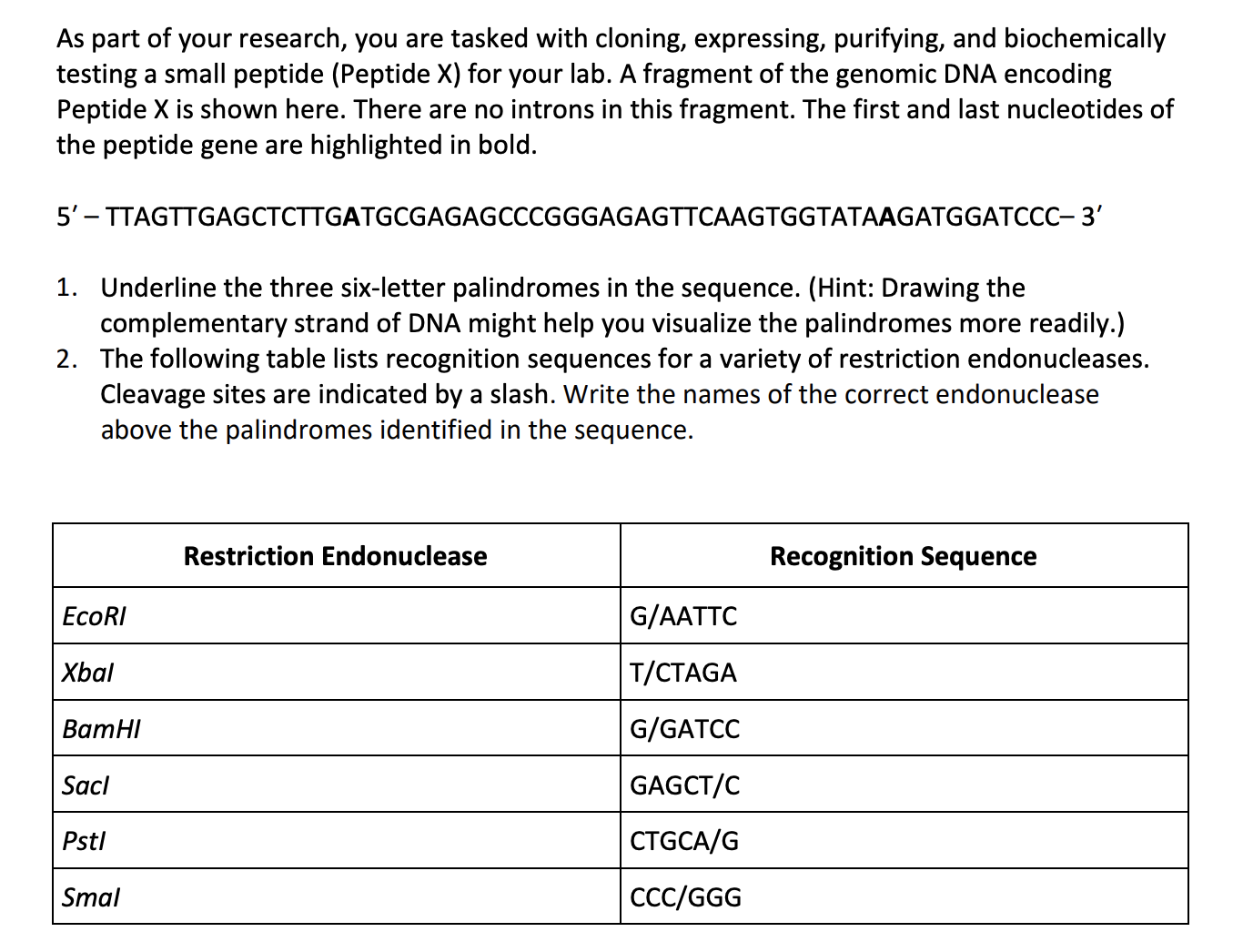 a student is writing a research report on cloning