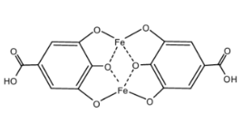 Solved The complex structure of Iron-gall inks is as below. | Chegg.com