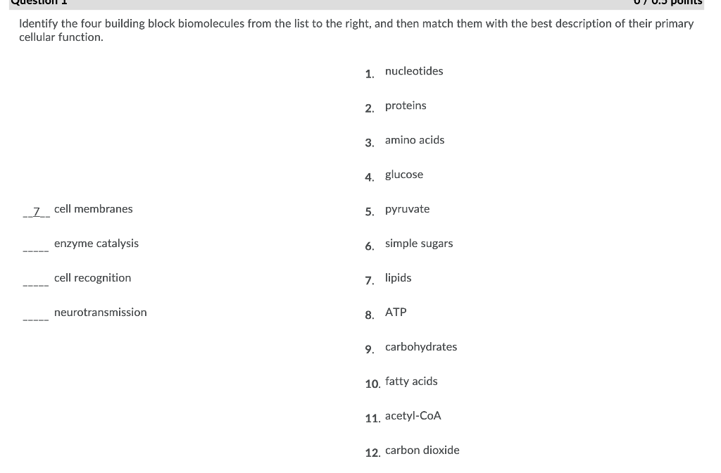 Solved Identify the four building block biomolecules from
