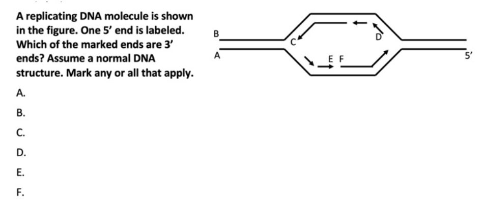 student submitted image, transcription available below