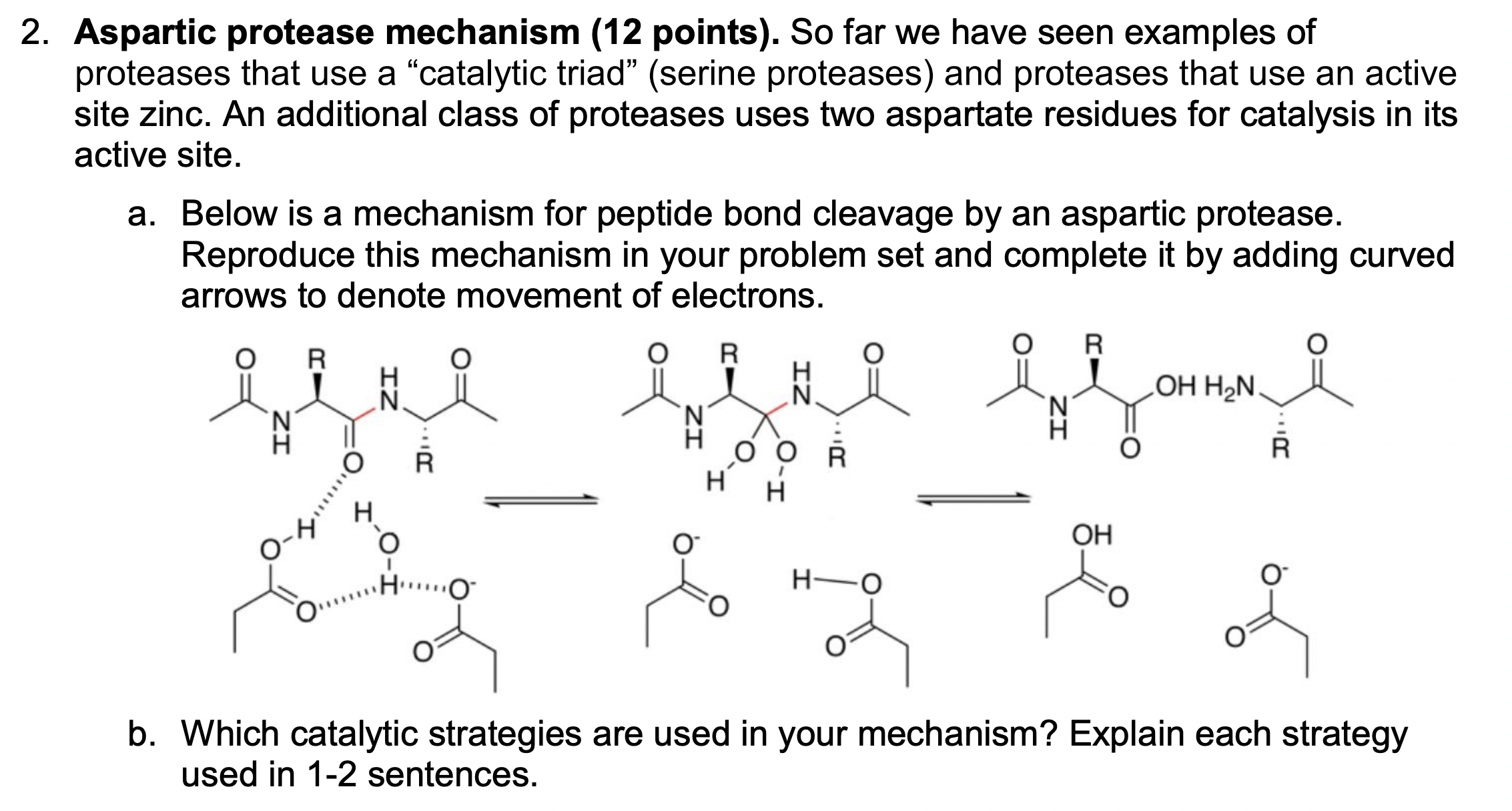 Solved 2. Aspartic Protease Mechanism (12 Points). So Far We | Chegg.com