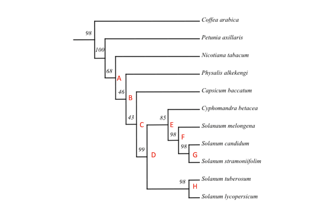 Solved 1. Consider The Phylogeny Presented Below And Answer | Chegg.com