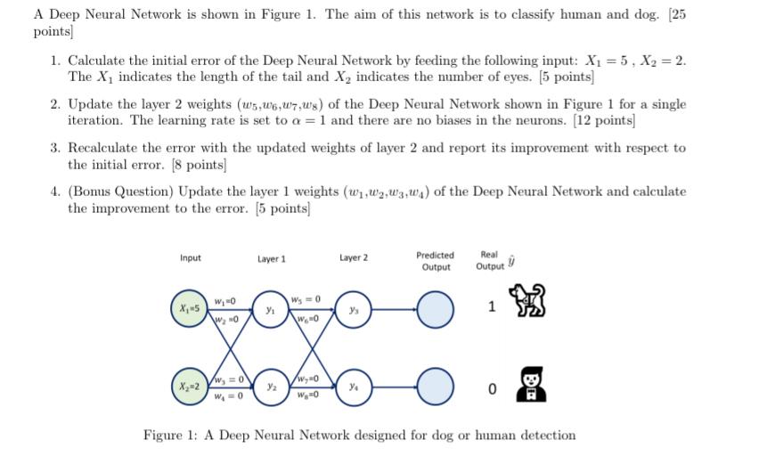 A Deep Neural Network is shown in Figure 1. The aim | Chegg.com