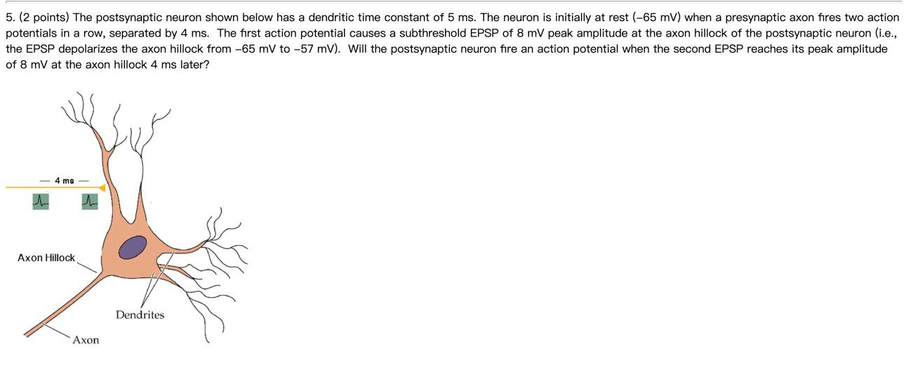 Solved 5. (2 points) The postsynaptic neuron