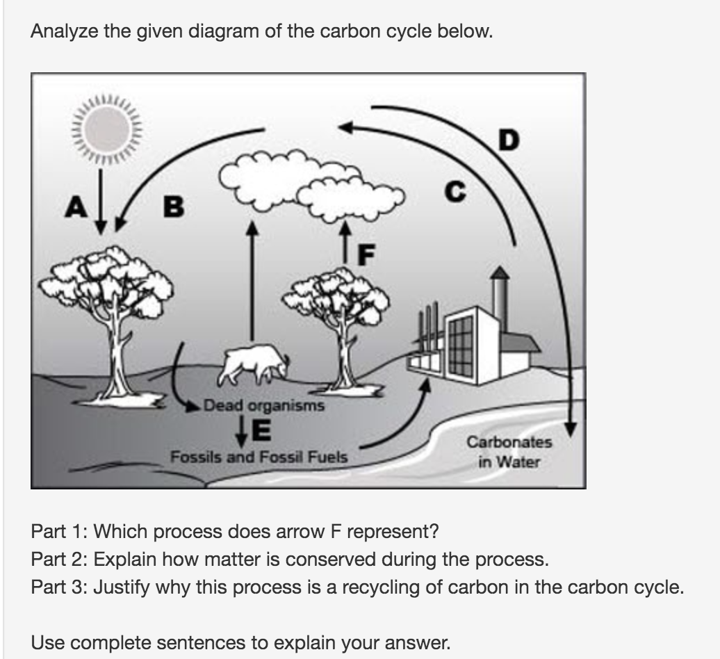 solved-analyze-the-given-diagram-of-the-carbon-cycle-below-chegg