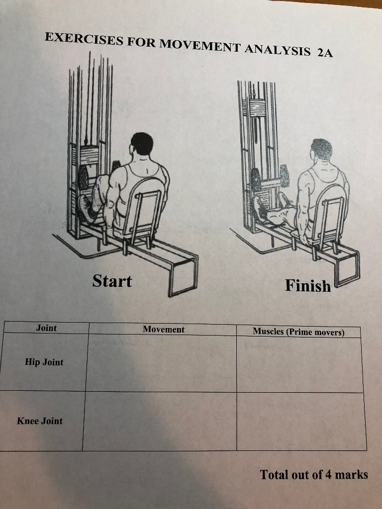 Solved Analyze The Joint Actions And Muscles Involved (prime | Chegg.com