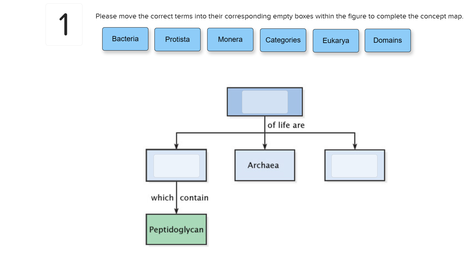 Solved Please move the correct terms into their | Chegg.com