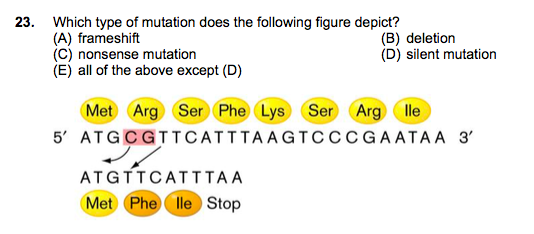 Solved Which type of mutation does the following figure | Chegg.com