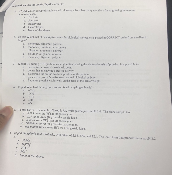 Foundations, Amino Acids, Peptides (29 pts) (2 pts) | Chegg.com
