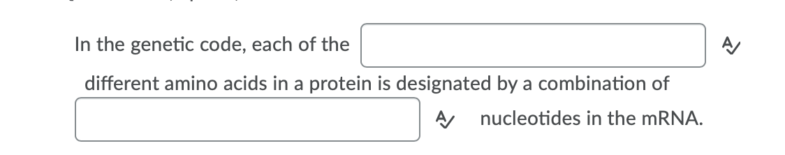 Solved In the genetic code, each of the different amino | Chegg.com