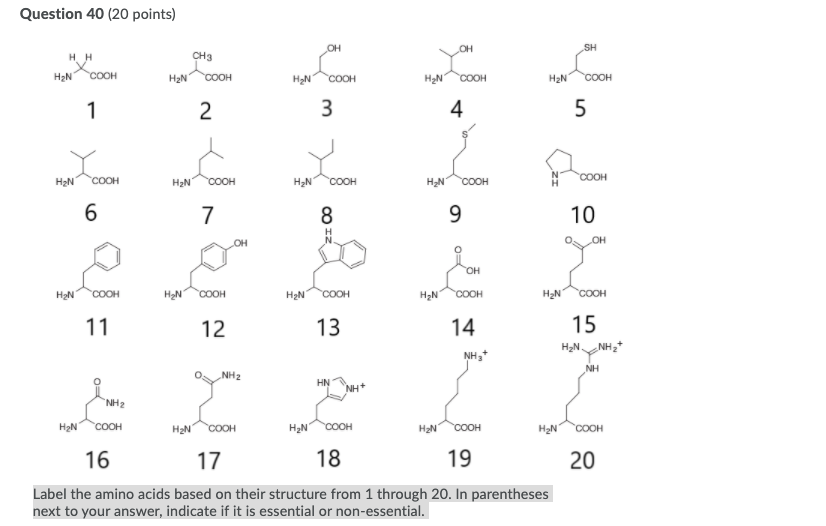 essential amino acid structures