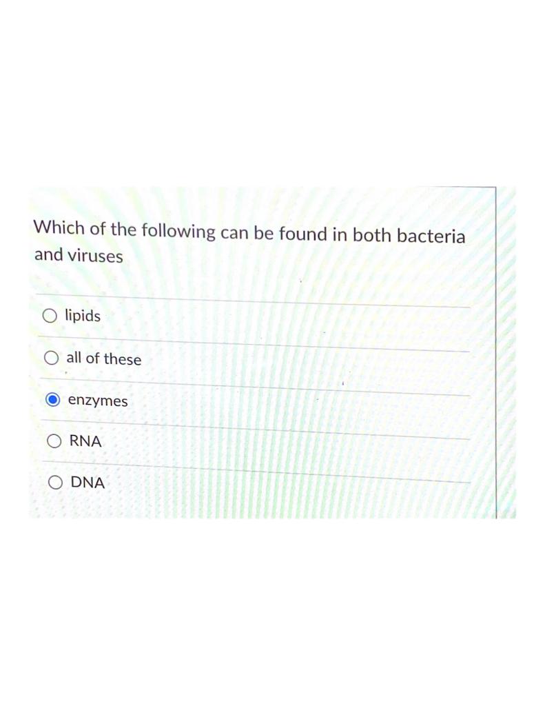 Solved Which Of The Following Can Be Found In Both Bacteria | Chegg.com