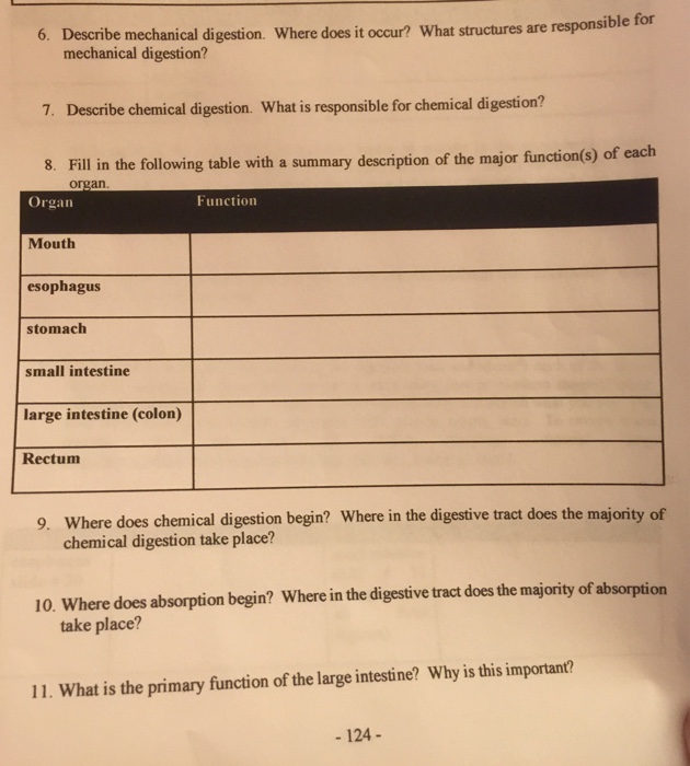 Solved 6. Describe mechanical digestion. Where does it