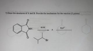 Solved Draw the structures of A and B. Provide the mechanism | Chegg.com