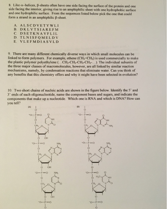 Solved 8. Like α-helices, β-sheets often have one side | Chegg.com