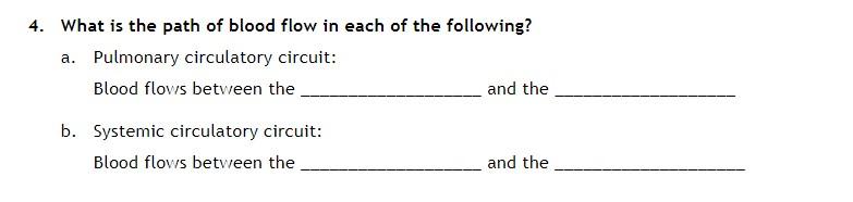 Solved 4. What is the path of blood flow in each of the | Chegg.com