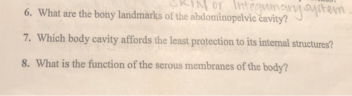 solved-6-what-are-the-bony-landmarks-of-the-abdominopelvic-chegg