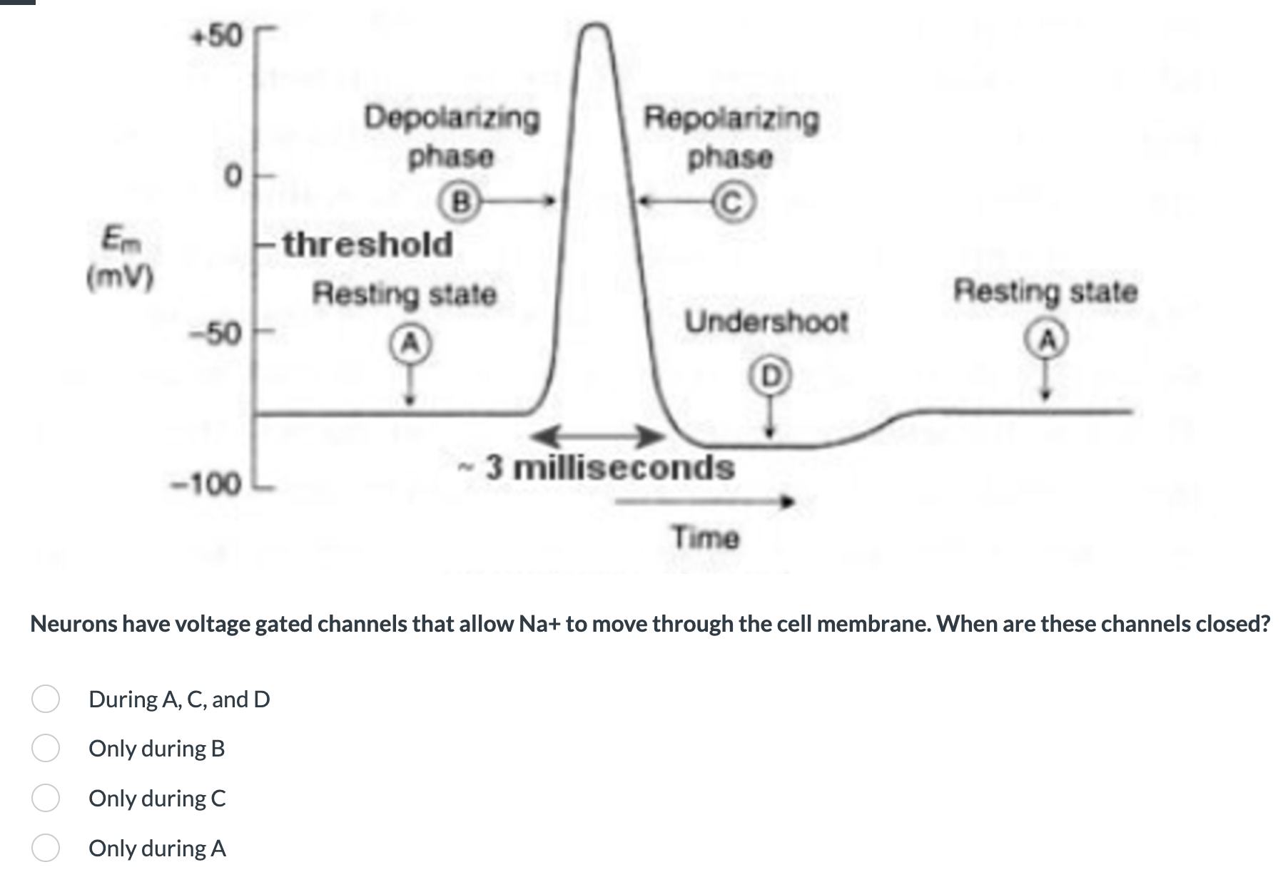 Solved Neurons have voltage gated channels that allow Na+ | Chegg.com