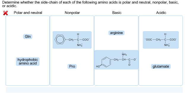 Solved Determine whether the side-chain of each of the | Chegg.com