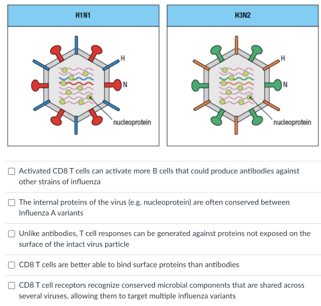 Whats the flu Flu 2024 2025 Wessex LMCs Flu Vaccine 2024 To 2025 Season