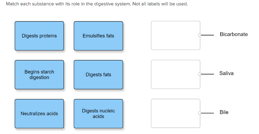 Solved Match each substance with its role in the digestive | Chegg.com