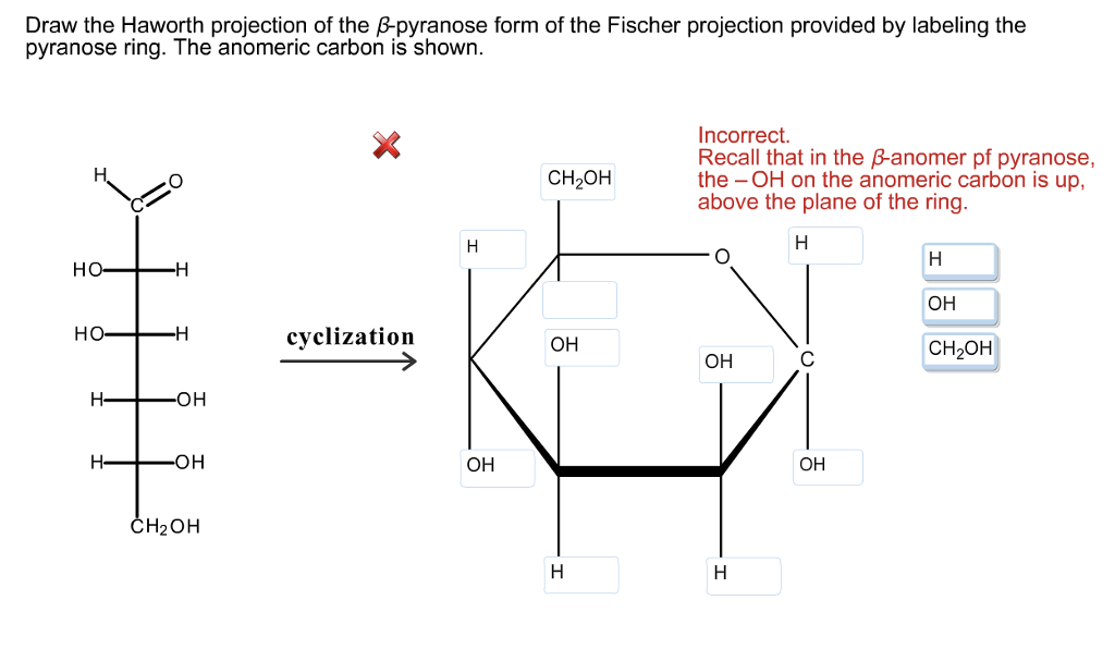 Beta Pyranose