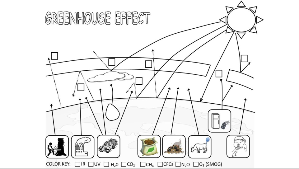 Solved Instructions For Greenhouse Effect Chegg Com