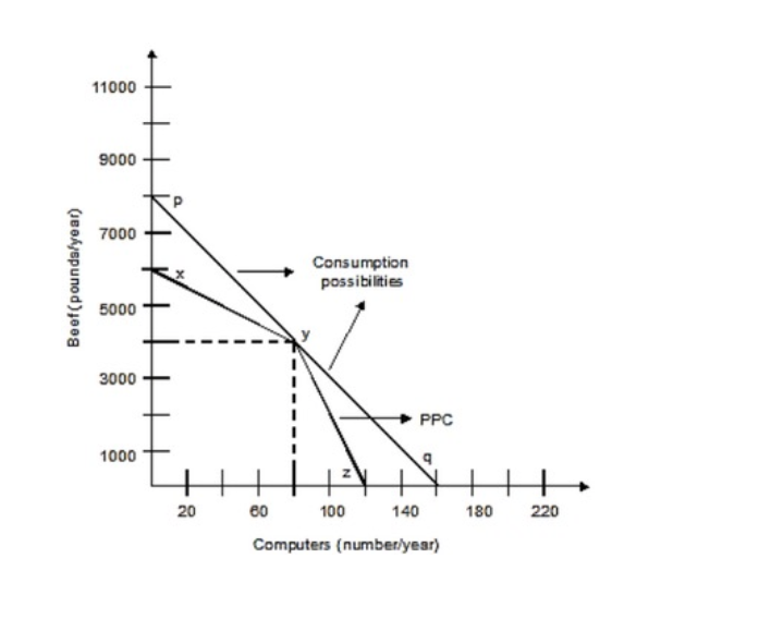 Solved The following graph shows the production | Chegg.com