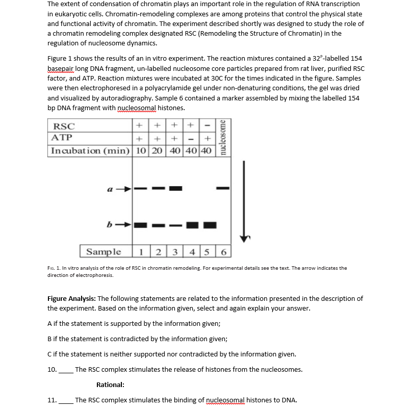 Solved The extent of condensation of chromatin plays an Biology Diagrams