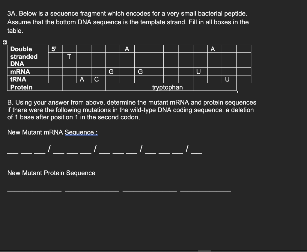 Solved 3A. Below is a sequence fragment which encodes for a | Chegg.com