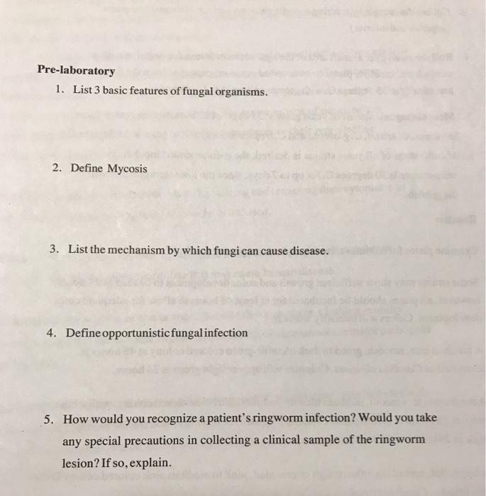Solved Pre-laboratory 1. List 3 basic features of fungal | Chegg.com