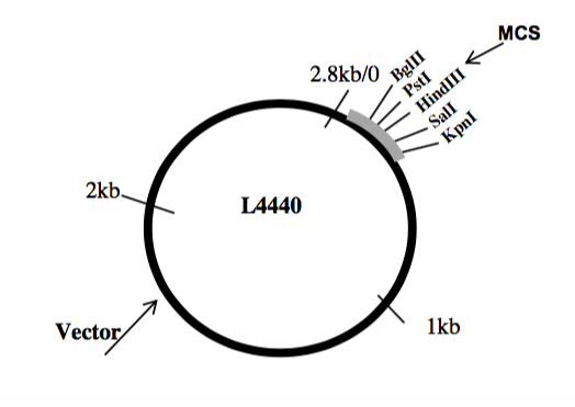 A) Hand drawn Map. Use the maps provided in the lab | Chegg.com