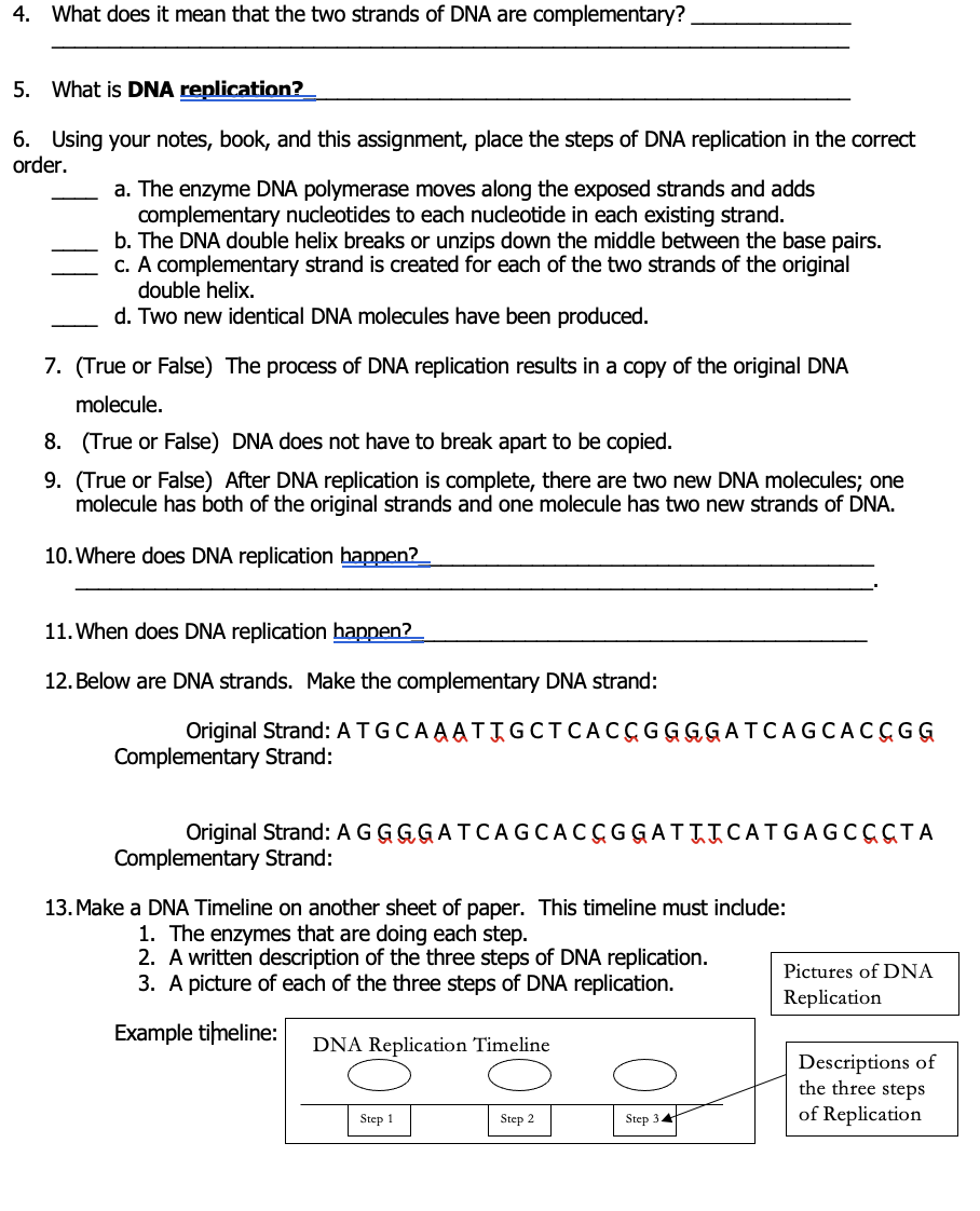 Solved DNA Replication Practice Directions: Below are the 3 | Chegg.com