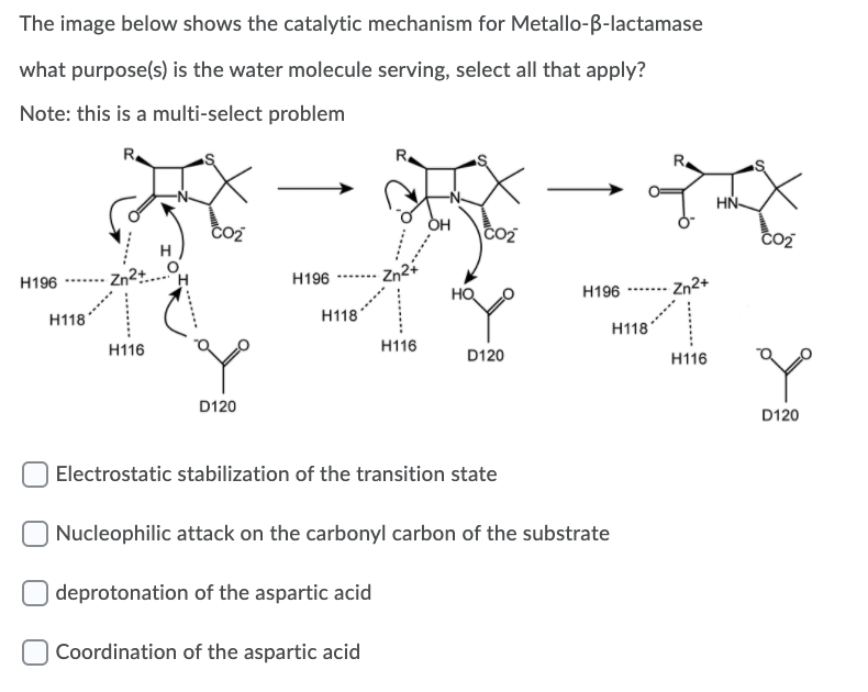 Solved The Image Below Shows The Catalytic Mechanism For | Chegg.com