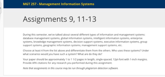 management information system term paper