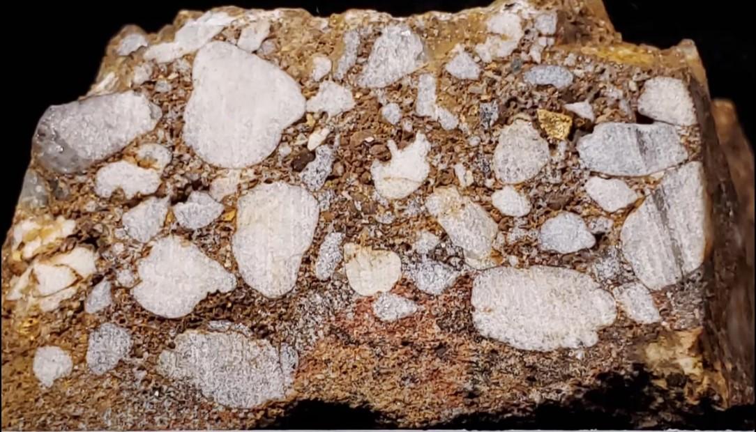 Solved SEDIMENTARY ROCKS WORKSHEET Does matrix fizz in acid?