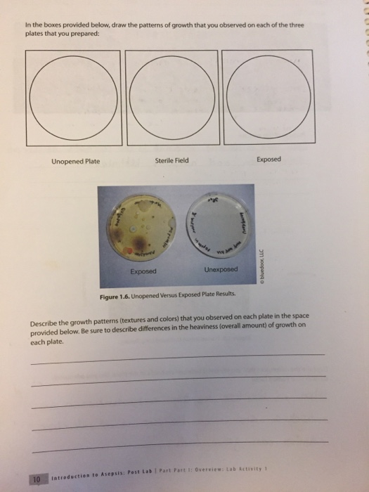 Solved In the boxes provided below, draw the patterns of