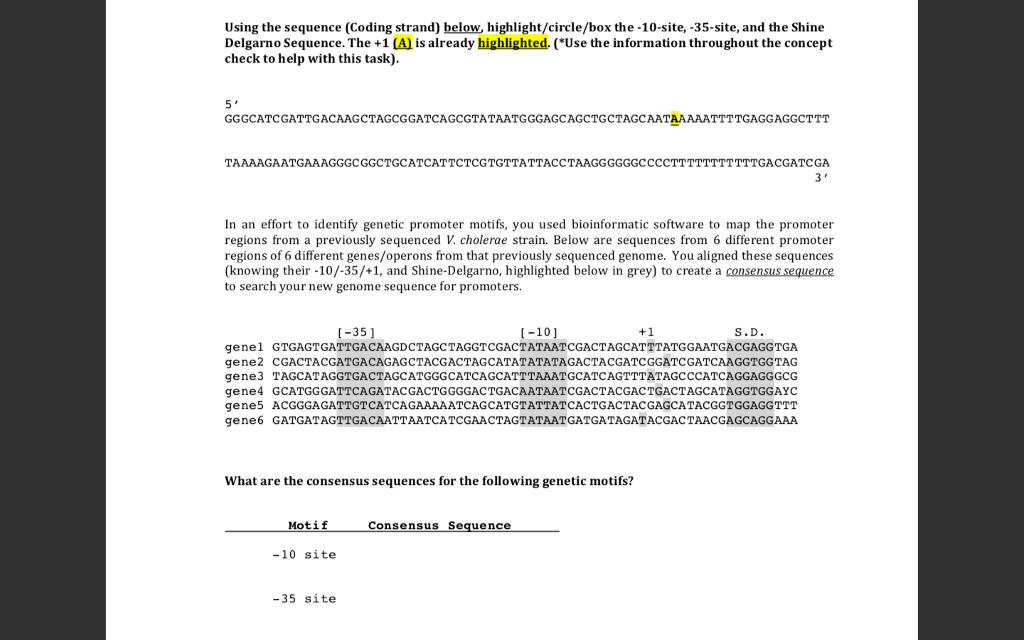 Solved Below is the sequence of your potential gene from | Chegg.com