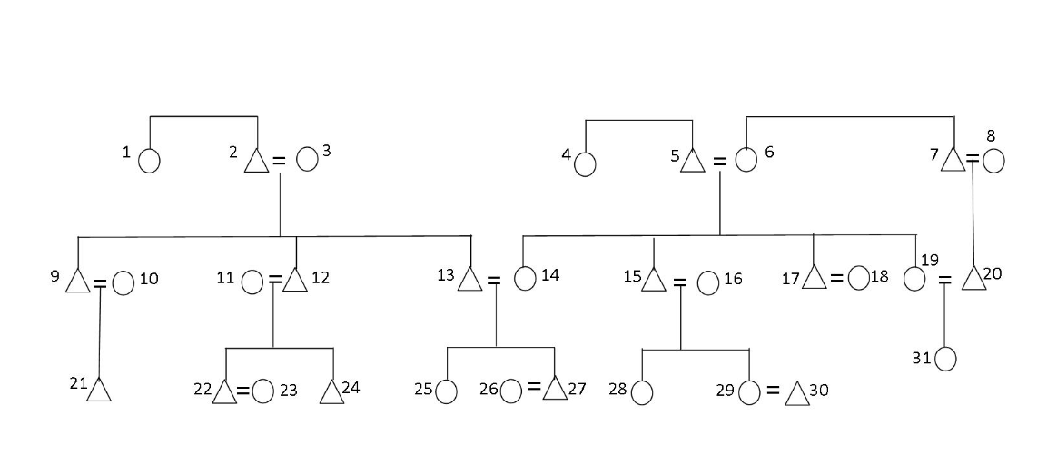 Who is 20 in relationship with \19? a) Crosscousin