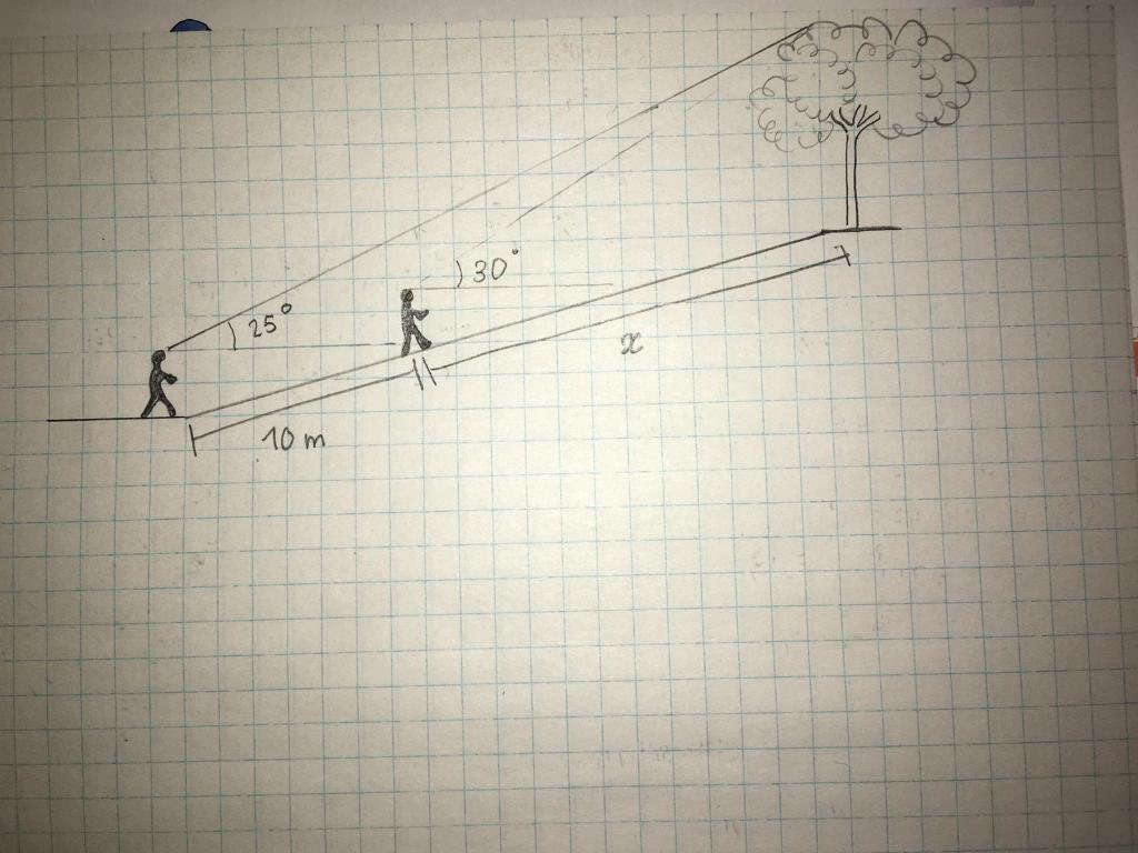 Solved A tree is at the top of a small hill with a slope of | Chegg.com