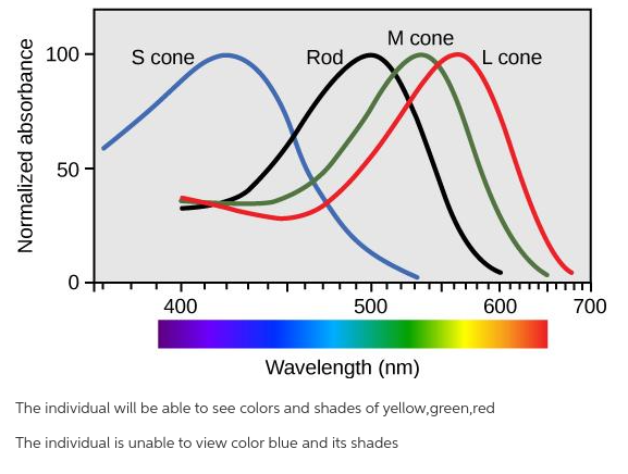Solved Come A 505 Cone B Conec Come D 630 650 680 ht 1 100 | Chegg.com