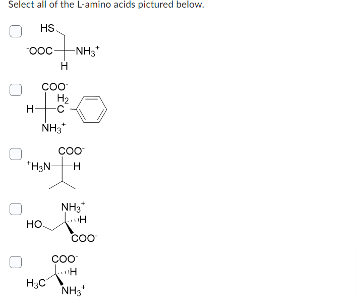 Solved Select all of the L-amino acids pictured below. | Chegg.com